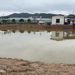 渔博士巨物垂钓中心天气预报