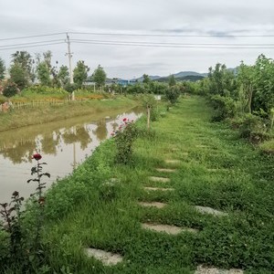 紫藤垂钓园