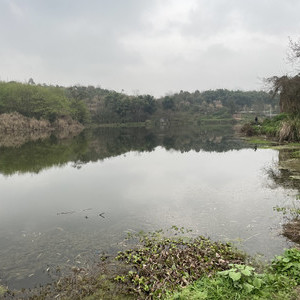 石家嘴水库