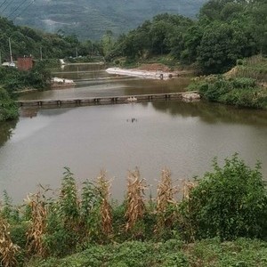 重庆博睿大物钓场天气预报