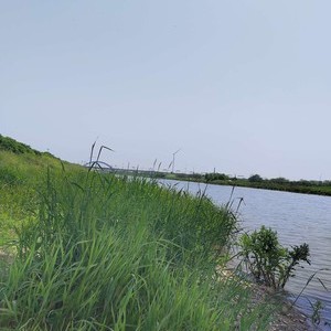 梅济河