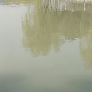 横塘河