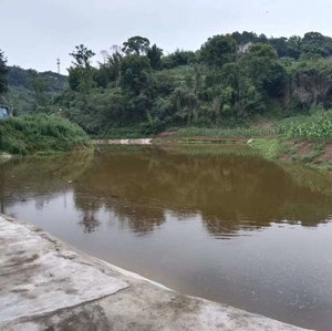 陈积燕家庭农场天气预报