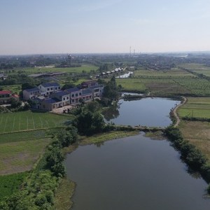 雷家湖上湖鱼塘