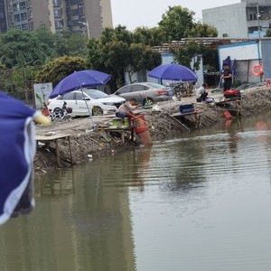 东莞市道滘镇新里城钓鱼场