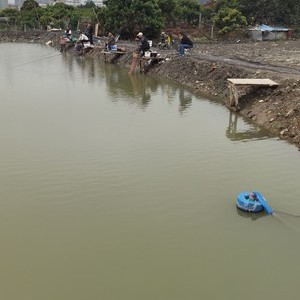 东莞市道滘镇新里城钓鱼场