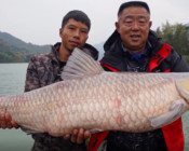 《游钓中国7》第六集 红水河寻青记 学习当地特色钓法
