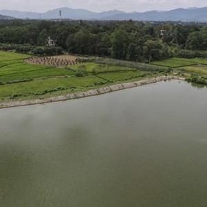 浏阳市陈家塘钓鱼基地