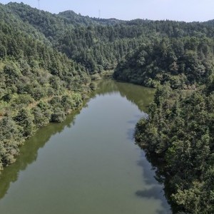 胡椒冲大山塘