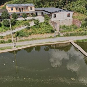 沈家大屋钓鱼基地