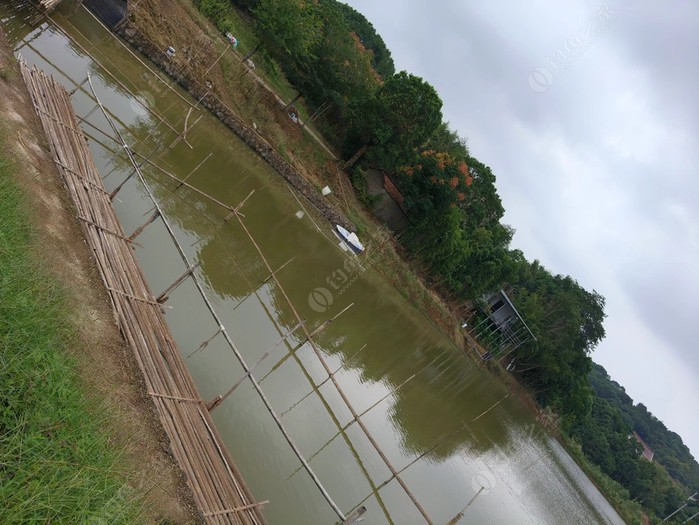 浦口黄家地大塘