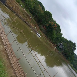 浦口黄家地大塘天气预报