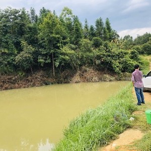 关口飞跃路亚基地