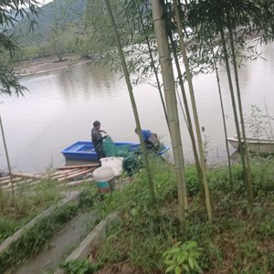 朝启山庄天气预报