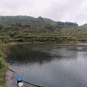 零碳村庄垂钓园