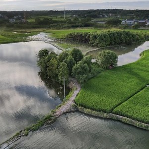 海司令鱼场