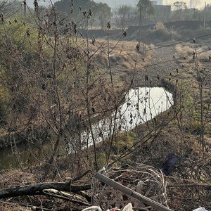 阮家铁路下面野河