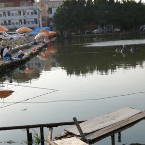新桂钓鱼场