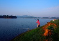 路亚钓鱼时，这些寻鱼观鱼的技巧你一定要牢记！