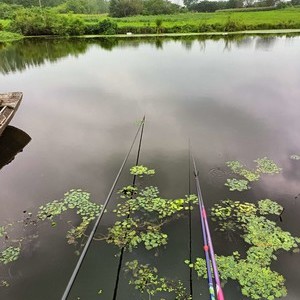 s321张家圩河道