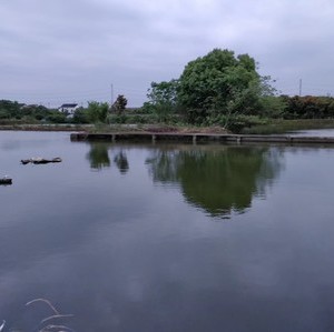 三皇庙惠海渔场