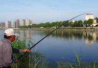 逗釣釣法的注意事項以及實用技巧
