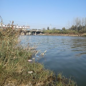 沱河张桥闸