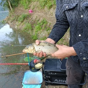 狗街小吉利岔箐水库