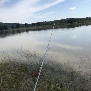 嘉陵江野钓