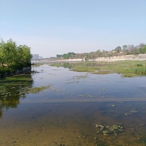 泗河泗河桥段