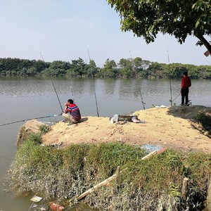 溪流河铺鱼庄段