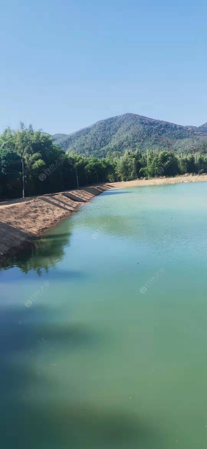 惠州水库钓鱼地点图片