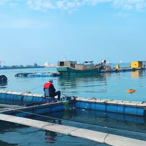 海陵岛·渔乐海钓 排钓台