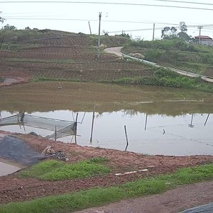 黑桃湾垂钓场