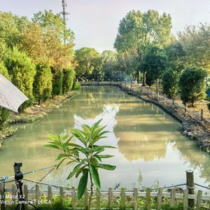 木子小院天气预报