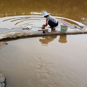 流水鱼垂钓