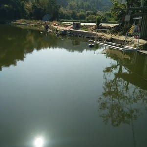 石湖钓鱼场