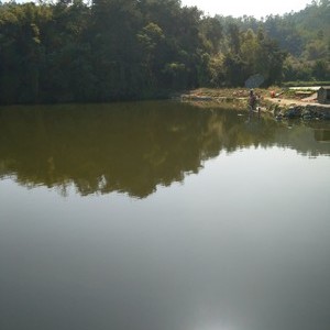 石湖钓鱼场