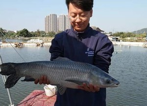 桂澜山钓鱼俱乐部