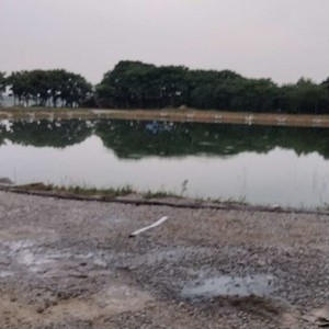 凤麟寿子湖畔度假村天气预报
