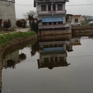 龙湾村粮八水库天气预报