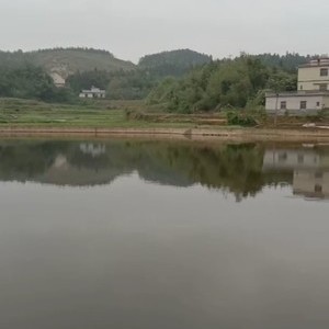 龙湾村粮八水库