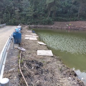 歌乐山颐路欢歌钓场