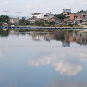 古桥村生态鱼塘天气预报