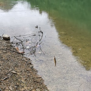 九盆水水库