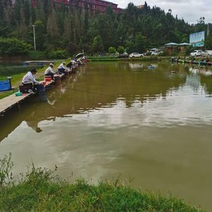 荷城钓场天气预报