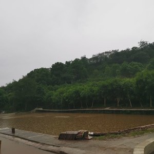 龙井湾生态农场垂钓中心