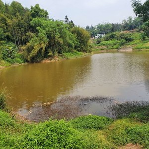 洪沟水库