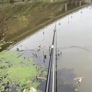 龙王山水鱼天气预报