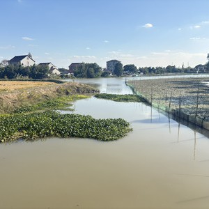 神龙浜河